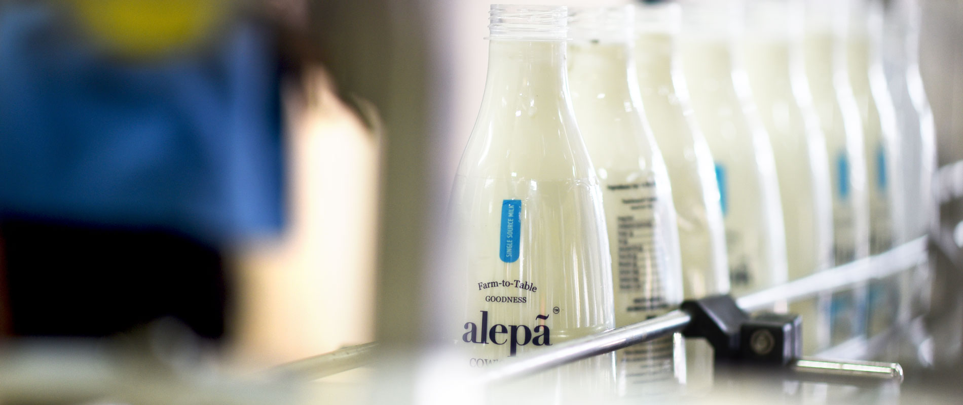 Alepa Dairy